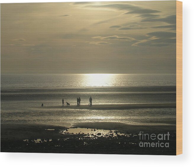 Walney Beach Wood Print featuring the photograph Golden Light on Walney Beach by Avis Noelle