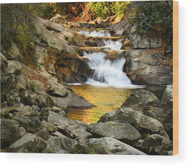 Cashiers Wood Print featuring the photograph Golden Pond by Penny Lisowski