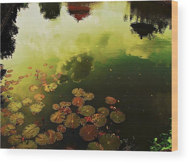 Pond Wood Print featuring the photograph Golden Pond by Yen