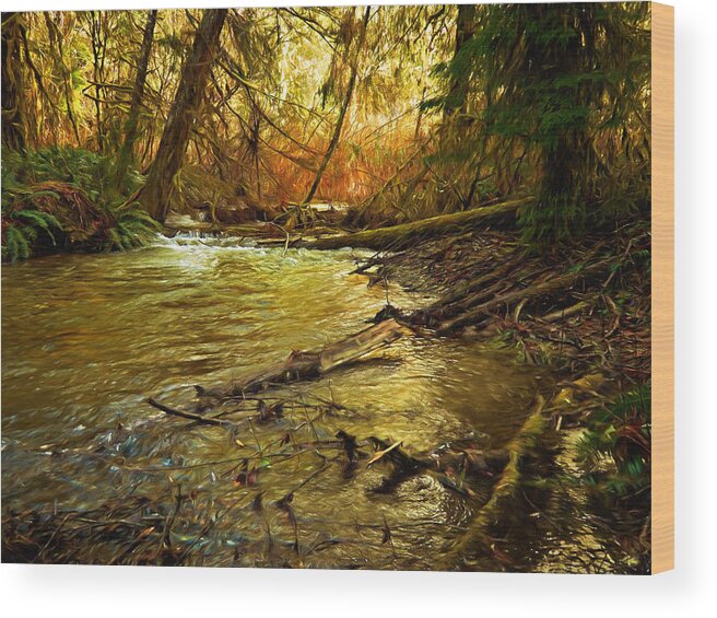 Glow. Wood Print featuring the photograph Golden Stream by Mary Jo Allen