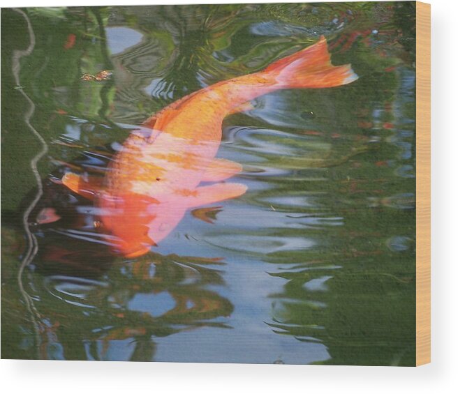 Golfish Wood Print featuring the photograph Goldfish by Cornelia DeDona