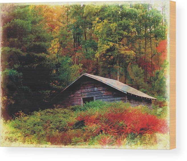 Barn Wood Print featuring the photograph Gone But Not Forgotten by Joe Duket