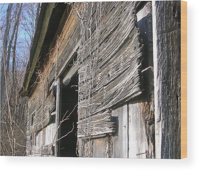 Structural Setting Wood Print featuring the photograph Good As New by Jack Harries