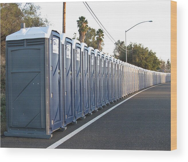 Porta Wood Print featuring the photograph So Many Choices by Shane Kelly