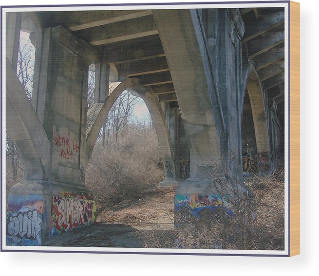 Graffiti Wood Print featuring the photograph Graffiti Kansas City 9 by Ellen Tully