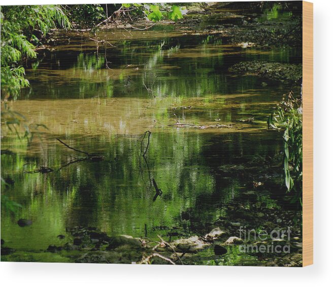 Creek Wood Print featuring the photograph Green veil by Fred Sheridan