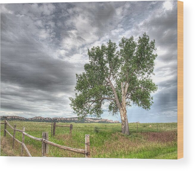 Nebraska Wood Print featuring the photograph Guardian of Smiley Canyon by HW Kateley