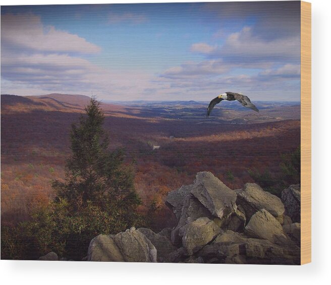 Hawk Mountain Wood Print featuring the photograph Hawk Mountain Sanctuary W Eagle by David Dehner