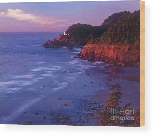 North America Wood Print featuring the photograph Heceta Head Lighthouse at Sunset Oregon coast by Dave Welling