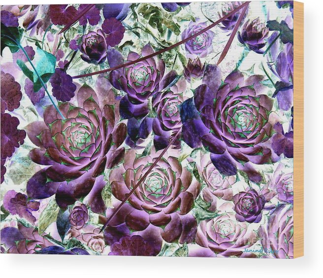 Hens And Chicks Wood Print featuring the photograph Hens and Chicks - Botanical - Indigo Blue and Purple by Janine Riley