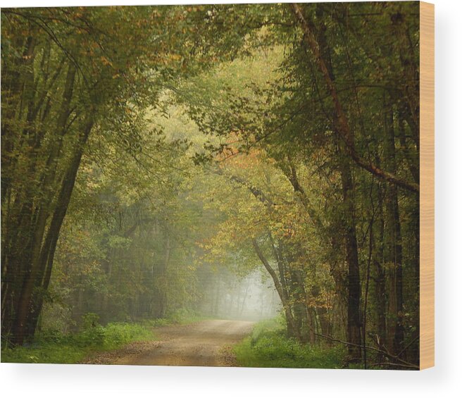 Autumn Wood Print featuring the photograph Here I Will Abide by Wild Thing