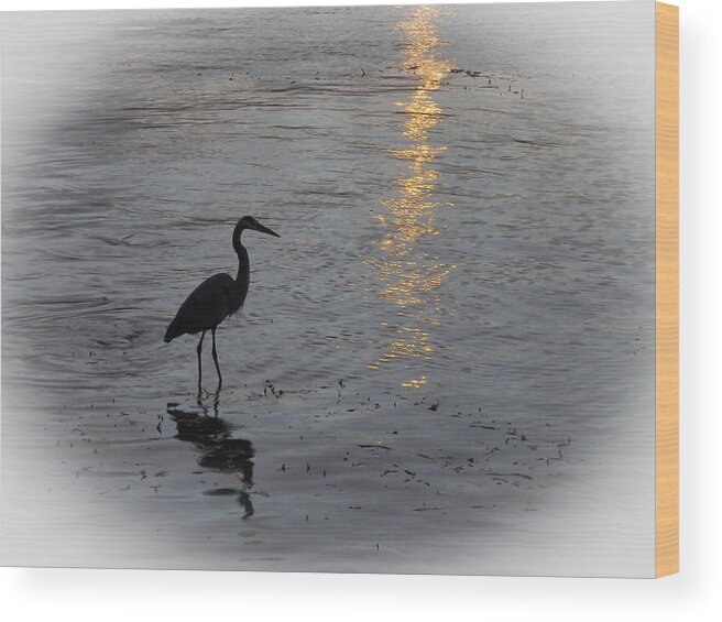 Heron Wood Print featuring the photograph Heron Silhouette by Nancy De Flon