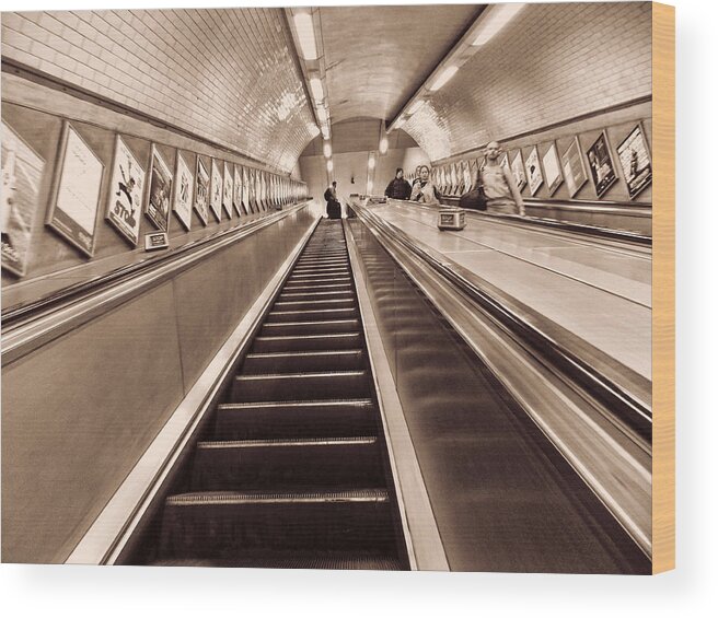 Escalators Wood Print featuring the photograph Higher Perspective by Nicky Jameson