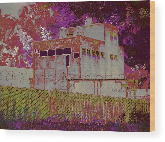 Warehouse Wood Print featuring the photograph Hindering Heights by Laureen Murtha Menzl