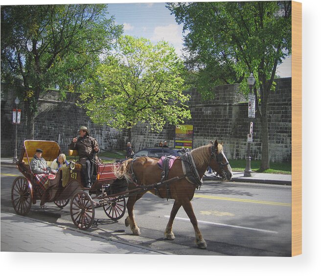 Horse Wood Print featuring the photograph Horse and Buggy by Nicky Jameson