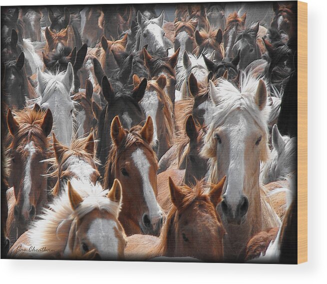 Horse Wood Print featuring the photograph Horse Faces by Kae Cheatham