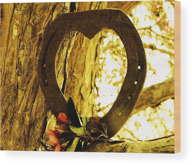 Horseshoe Wood Print featuring the photograph Horseshoe Love by Michelle Frizzell-Thompson