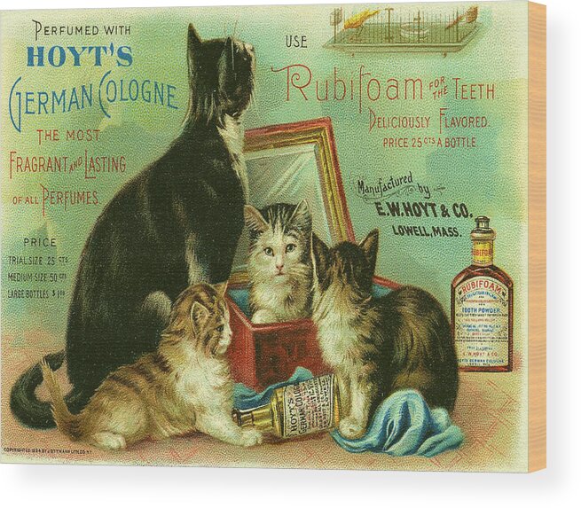 Hoyts German Cologne Wood Print featuring the digital art Hoyts Cats by Georgia Clare