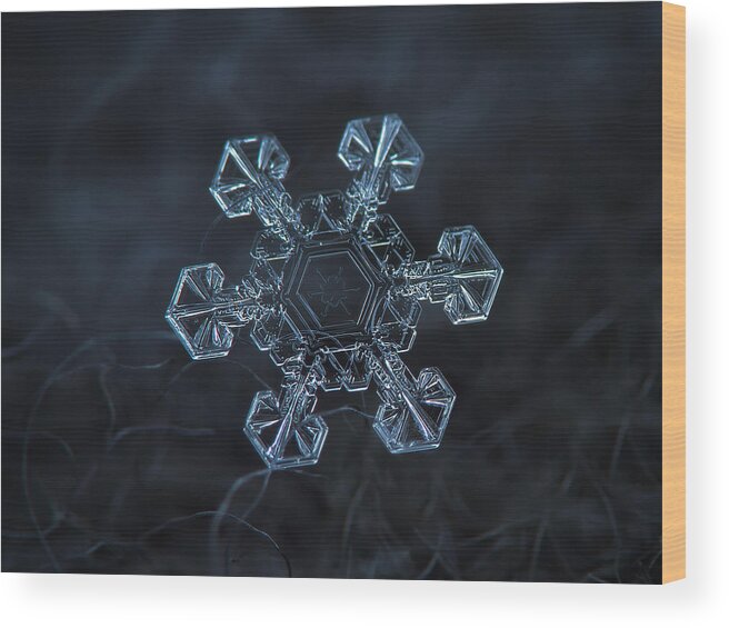 Snowflake Wood Print featuring the photograph Snowflake photo - Ice crown by Alexey Kljatov