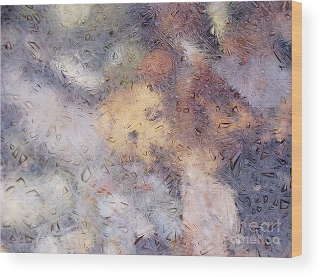 Abstract Nature Wood Print featuring the photograph Iced Stones by Fred Sheridan