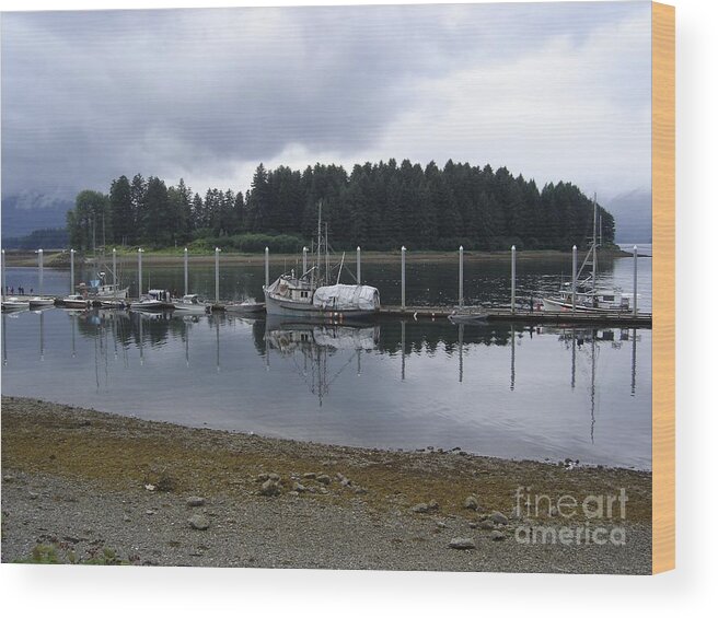 Alaska Wood Print featuring the photograph Icy Strait by Mary Rogers