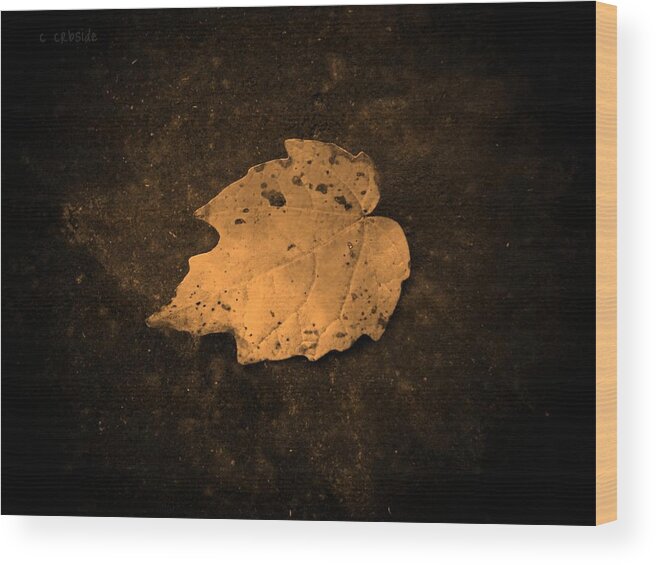 Leaf Wood Print featuring the photograph Impressions by Chris Berry