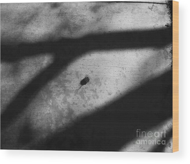 Abstract Wood Print featuring the photograph In between by Fei A