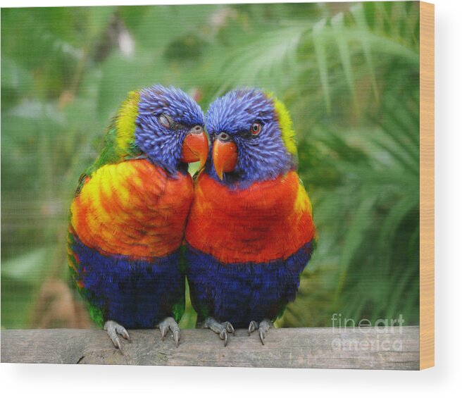 Parrots Wood Print featuring the photograph In Love Lorikeets by Peggy Franz