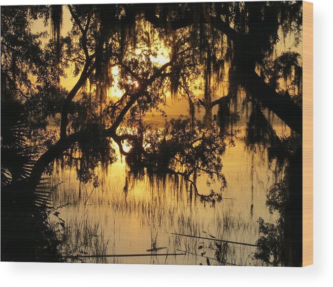 Landscape Wood Print featuring the photograph In the light by Todd Smith