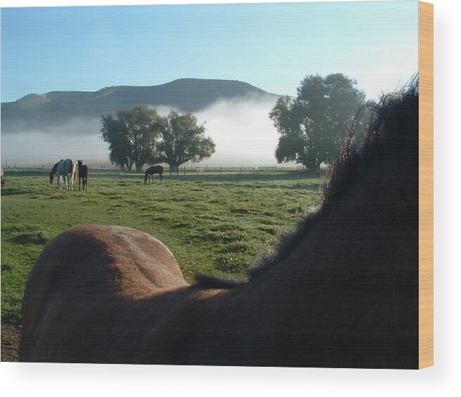 Horse Wood Print featuring the photograph In the Pasture by M Kathleen Warren