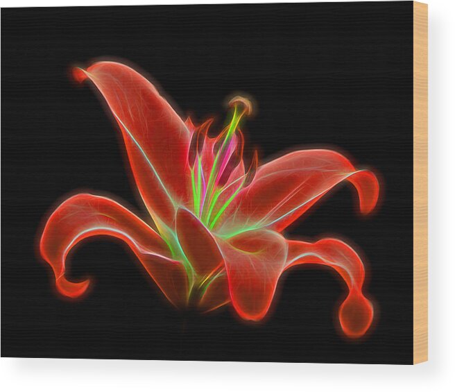 Single Red Lily Wood Print featuring the photograph Incandescence by Gill Billington