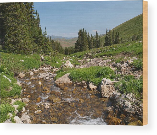 Elko Nevada Landscape Photography Wood Print featuring the photograph Independence Range by Jenessa Rahn