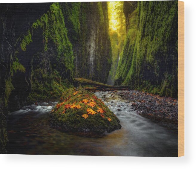 Oregon Wood Print featuring the photograph Inner Sanctum by Dustin LeFevre