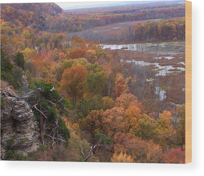 Southern Illinois Wood Print featuring the photograph Inspiration Point by Forest Floor Photography