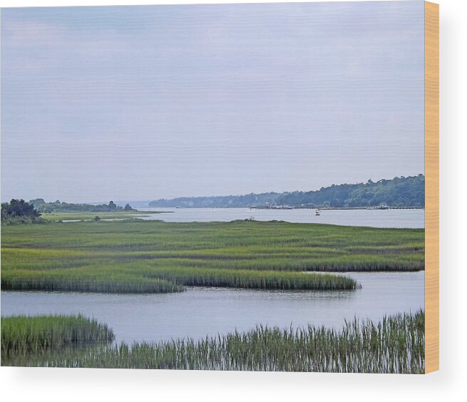 Background Wood Print featuring the photograph Intracoastal Waterway by Bill TALICH