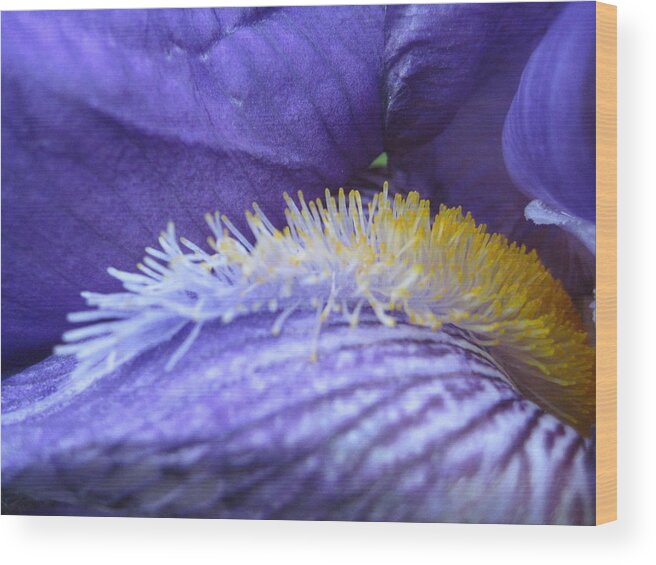 Flower Wood Print featuring the photograph Iris Invitation by Noa Mohlabane