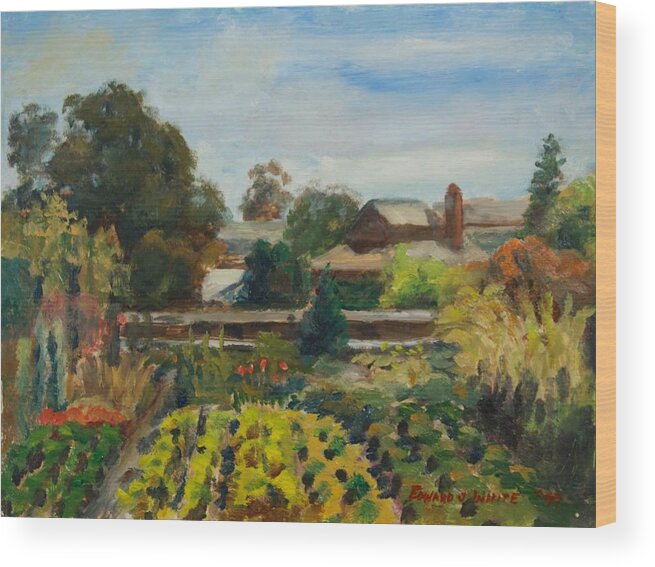 San Juan Capistrano Wood Print featuring the painting Ito Nursery Sunshine by Edward White