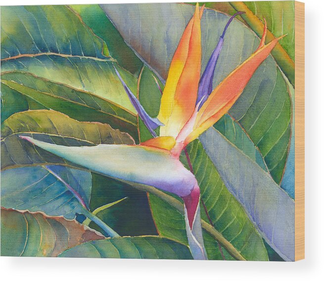 Bird Of Paradise Wood Print featuring the painting Its a Bird by Judy Mercer