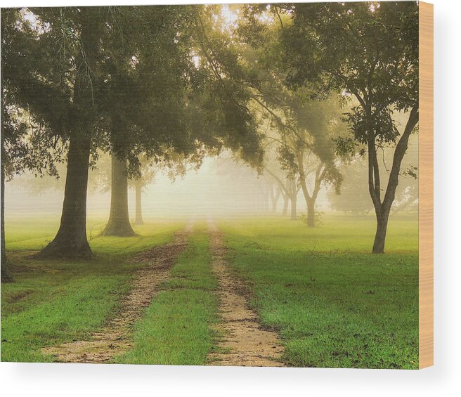 Fog Wood Print featuring the photograph Journey Into Fall by Charlotte Schafer