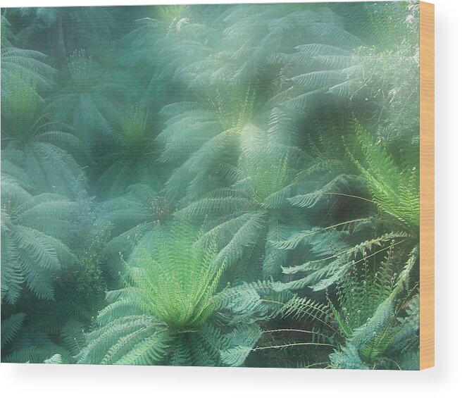 Tree Ferns Wood Print featuring the photograph Jurassic Gully by Evelyn Tambour