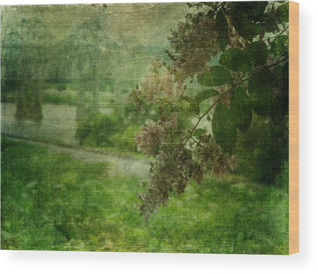 Natchez Trace Wood Print featuring the photograph Just a Peek in Green by Terry Eve Tanner