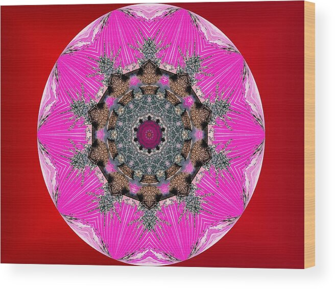 Kaleidoscope Wood Print featuring the digital art Kaleidoscope by Mike Breau