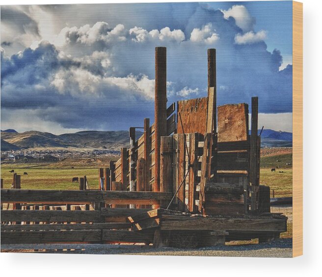 Ranch Wood Print featuring the photograph Kiley Ranch Sparks Nevada by Janis Knight