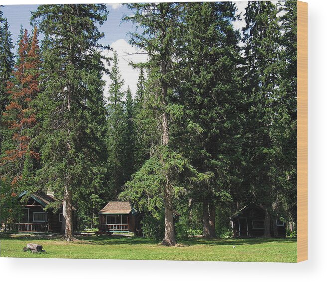 Landscape Wood Print featuring the photograph Kootenay Park Lodge Cabins by Gerry Bates