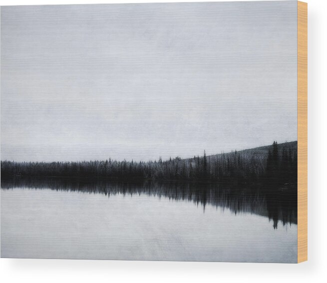 Winter Wood Print featuring the photograph Lac Le Jeune by Theresa Tahara