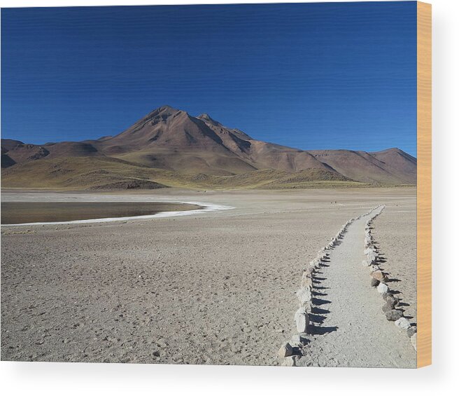 Tranquility Wood Print featuring the photograph Laguna Miscanti by Samuel Kikuti