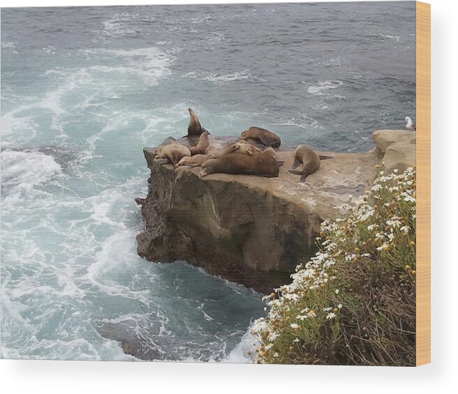 Water Wood Print featuring the photograph LaJolla Cove 2 by Kathy Williams-Walkup