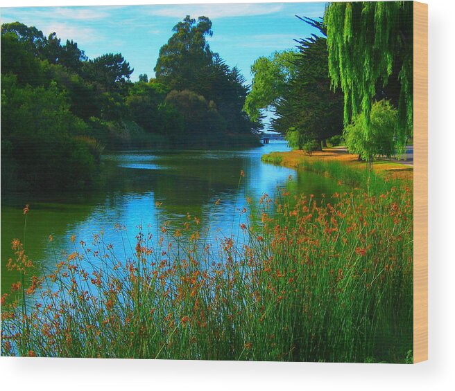 Landscape Wood Print featuring the photograph Lake El Estero Number 2 by Derek Dean