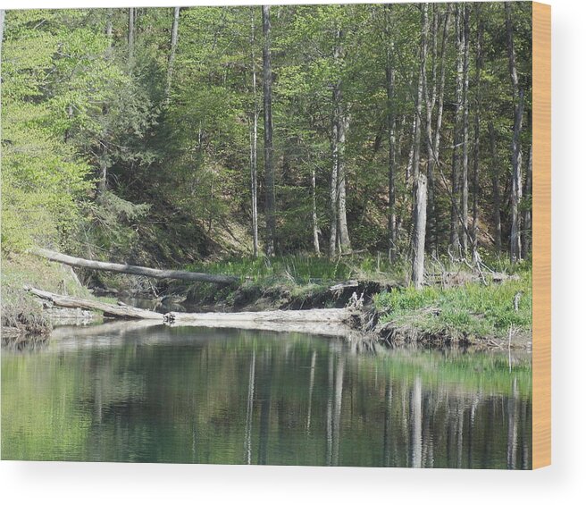 Green River Wood Print featuring the photograph Stillness by Catherine Gagne
