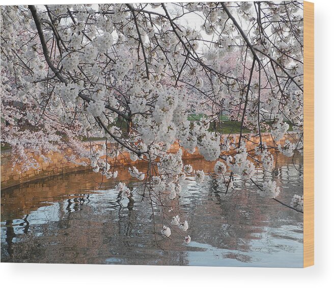 Flower Wood Print featuring the photograph Lakeside by Yue Wang